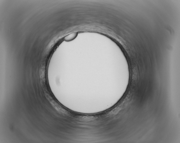 X0000112941499200909211123