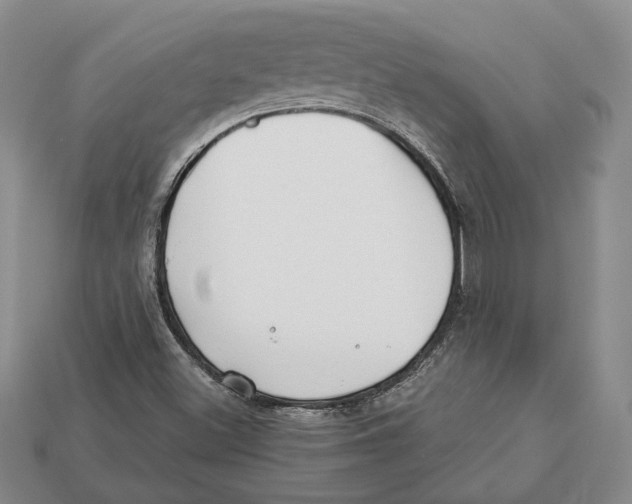 X0000112941500200909211123