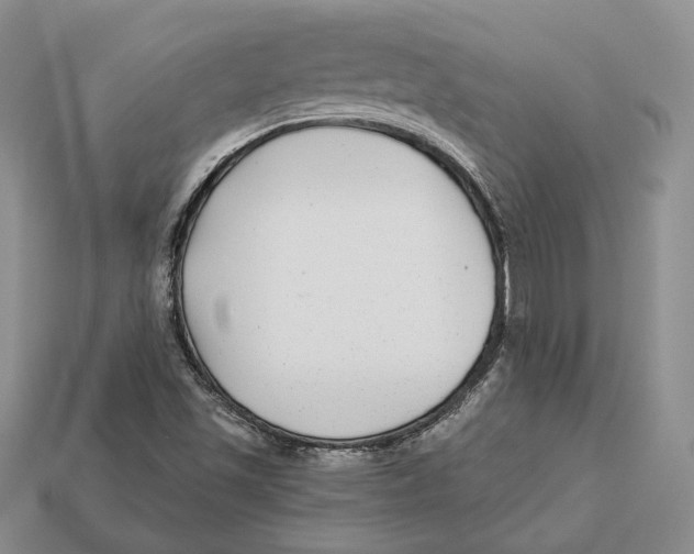 X0000112941501200909211123