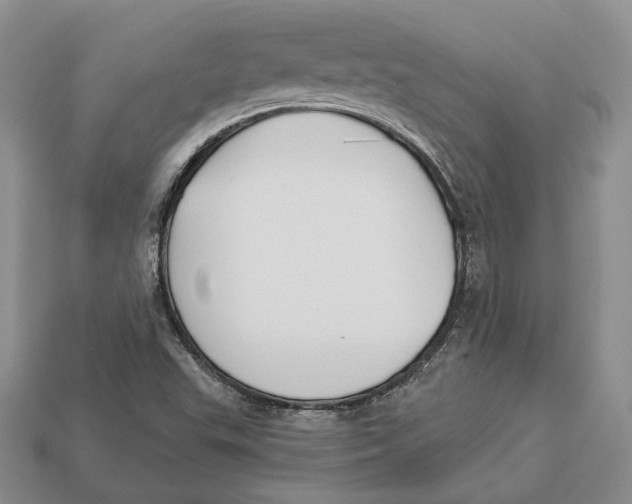 X0000112941503200909211123