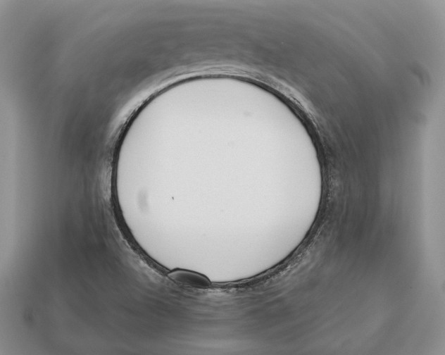 X0000112941504200909211123