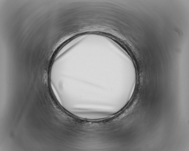 X0000112941505200909211123