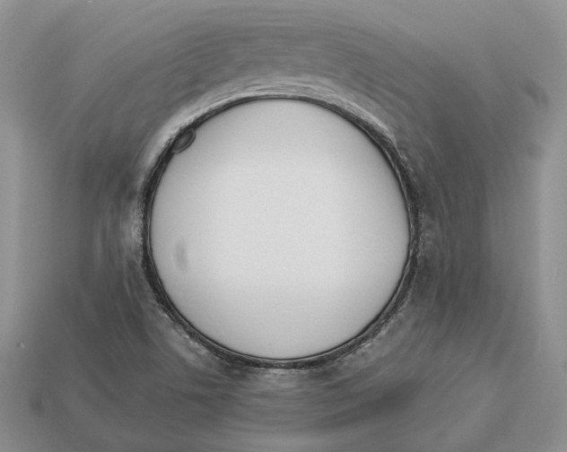 X0000112941506200909211123