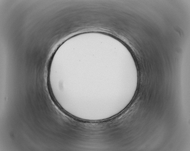 X0000112941508200909211123