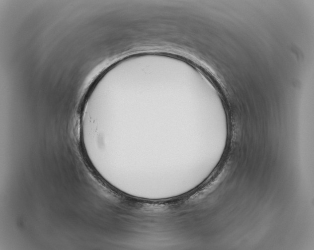 X0000112941509200909211123