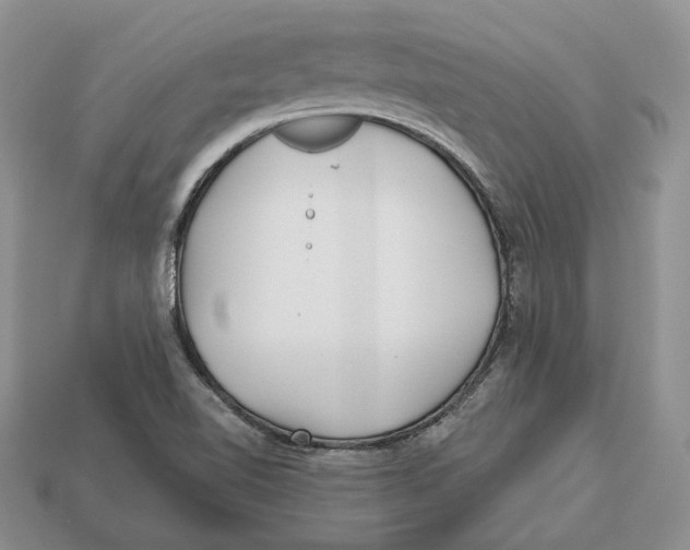 X0000112941510200909211123