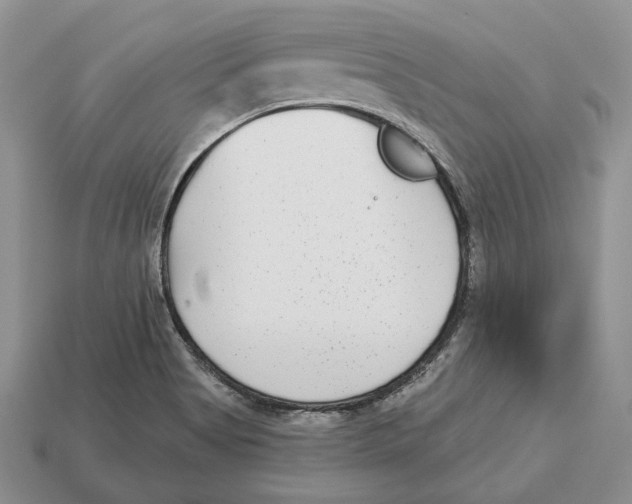 X0000112941513200909211123