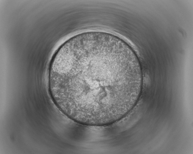 X0000112941514200909211123
