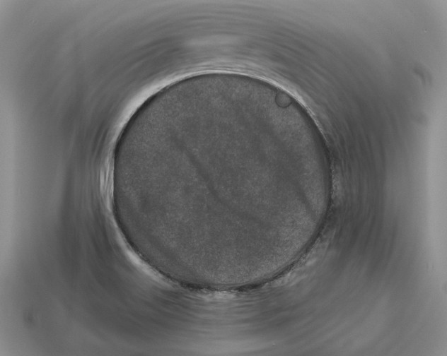 X0000112941515200909211123