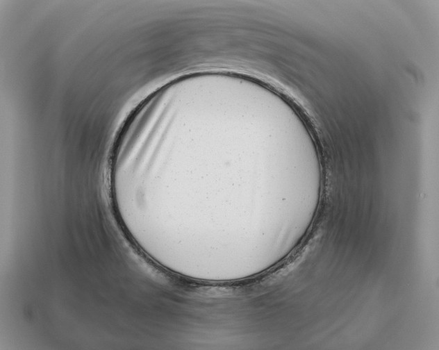 X0000112941517200909211123