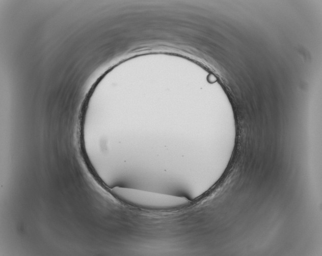 X0000112941518200909211123