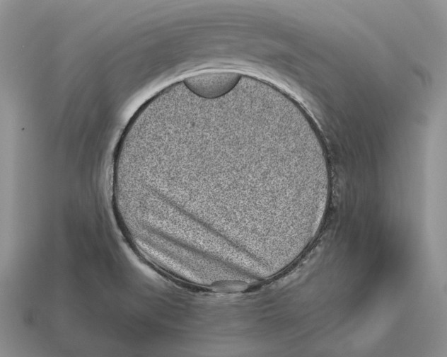 X0000112941519200909211123