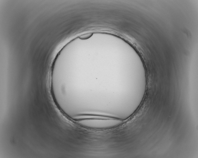 X0000112941520200909211123