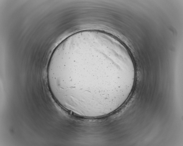 X0000112941521200909211123