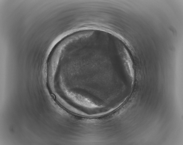 X0000112941522200909211123
