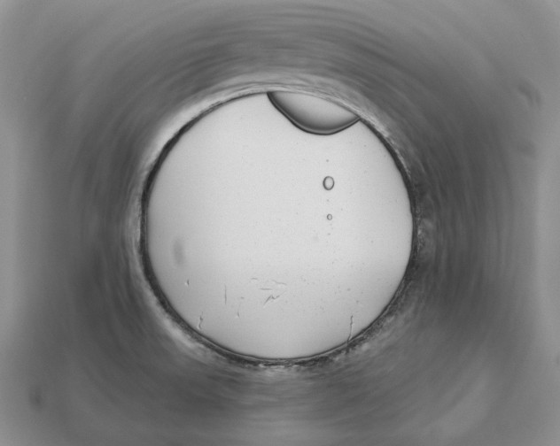 X0000112941523200909211123