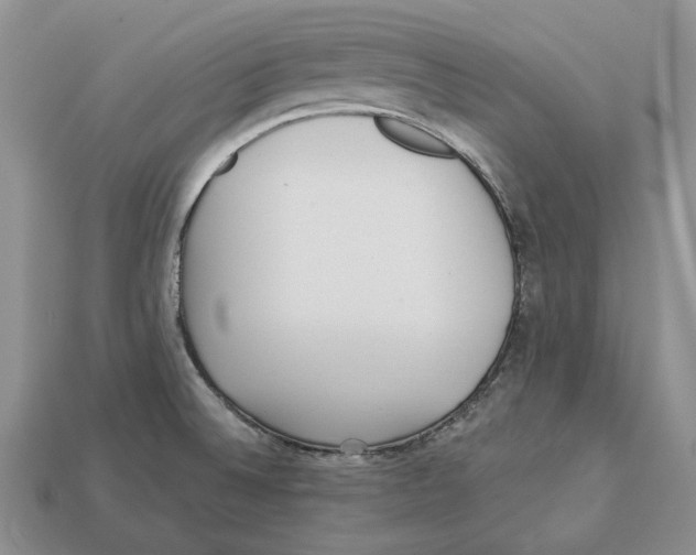 X0000112941524200909211123