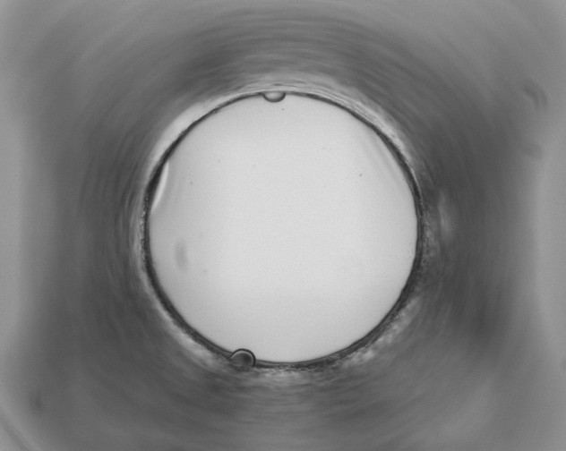 X0000112941525200909211123