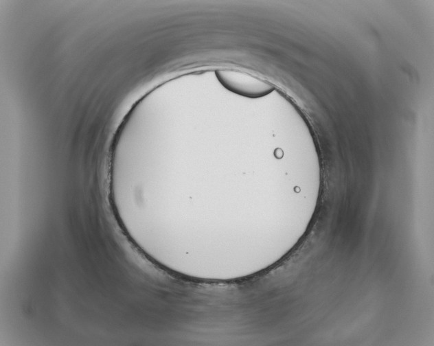 X0000112941526200909211123