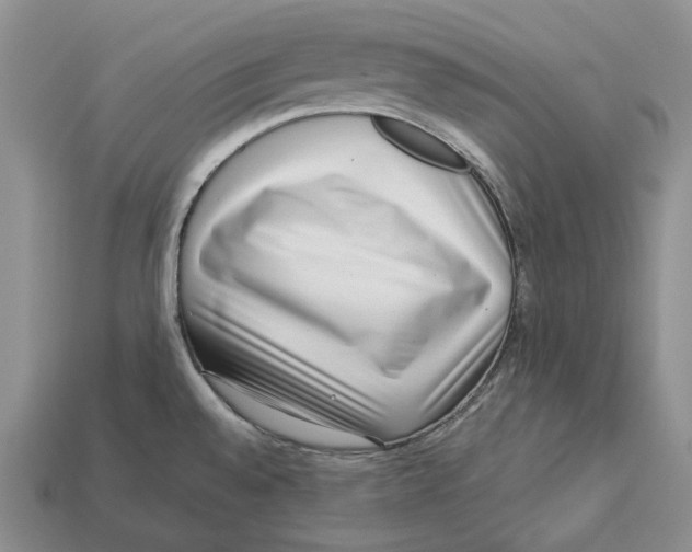 X0000112941528200909211123