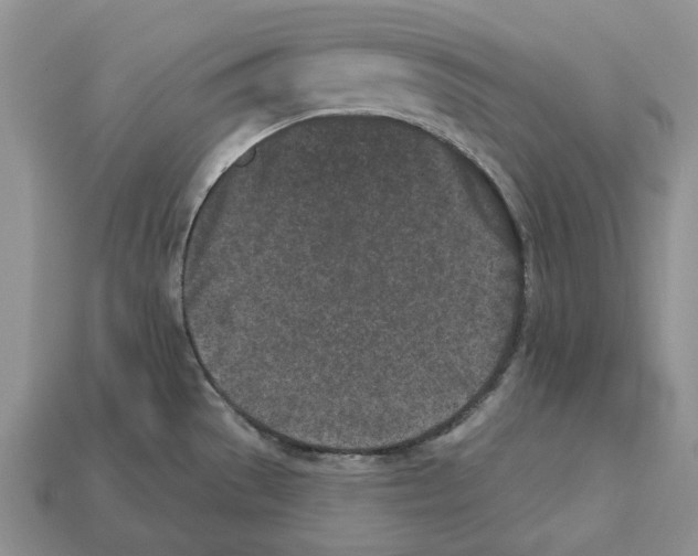 X0000112941529200909211123