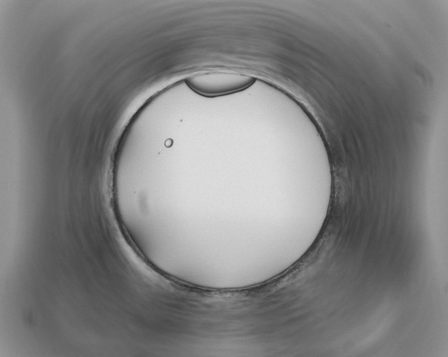 X0000112941531200909211123