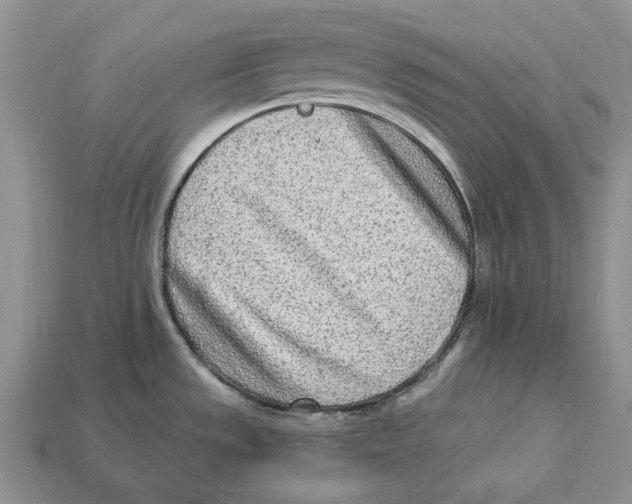 X0000112941533200909211123