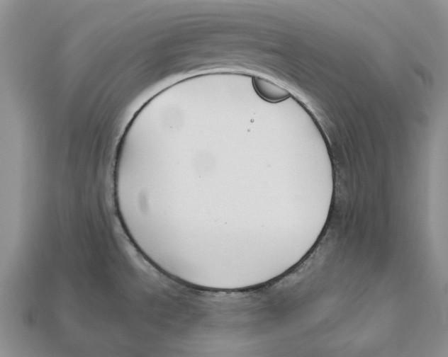 X0000112941534200909211123