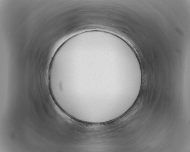X0000112941535200909211123