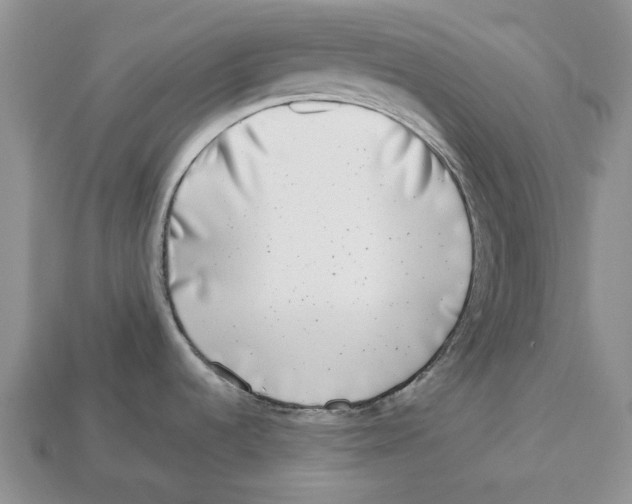 X0000112941536200909211123