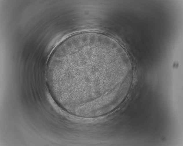 X0000112940002200910051206