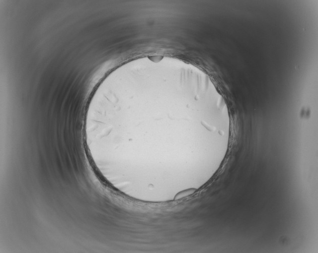X0000112940003200910051206