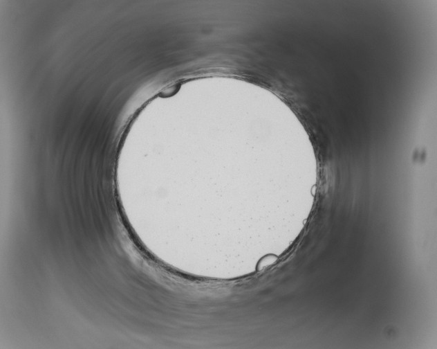 X0000112940004200910051206