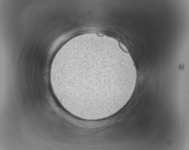 X0000112940006200910051206
