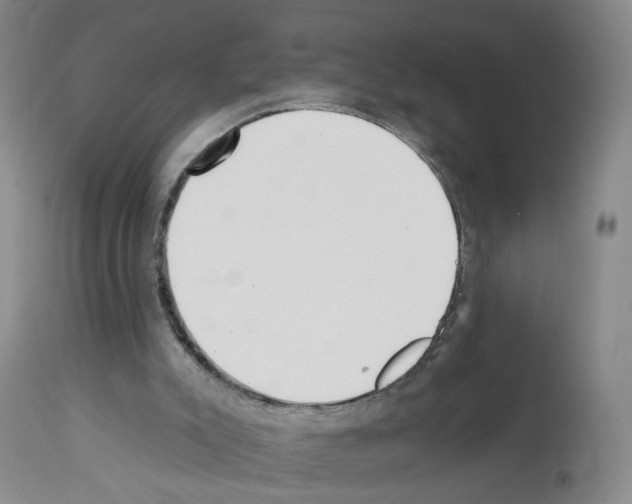 X0000112940007200910051206