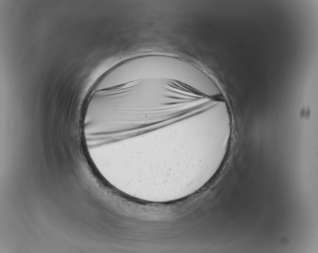 X0000112940008200910051206