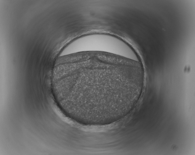 X0000112940009200910051206