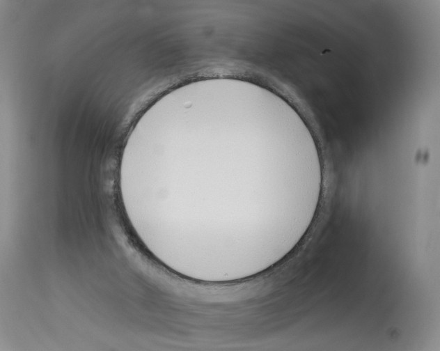 X0000112940010200910051206