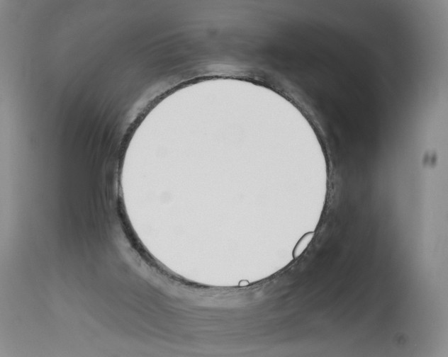 X0000112940011200910051206