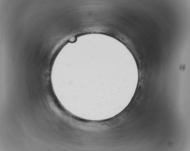 X0000112940012200910051206