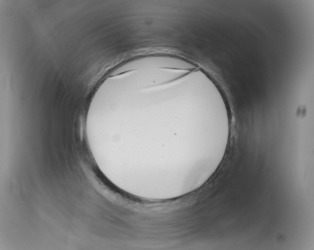 X0000112940013200910051206