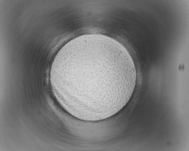 X0000112940014200910051206