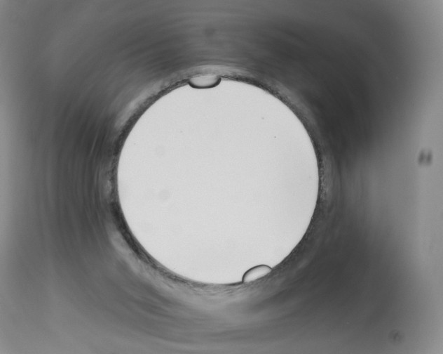 X0000112940015200910051206