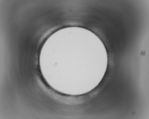 X0000112940016200910051206
