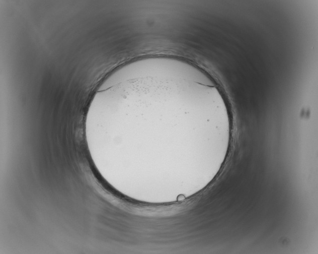 X0000112940017200910051206