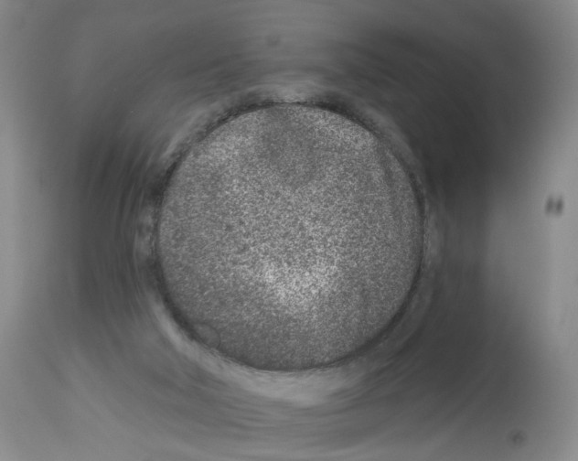 X0000112940018200910051206