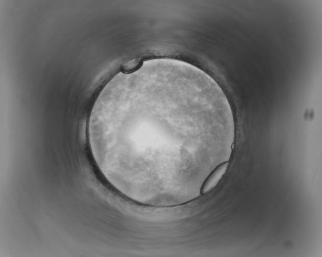 X0000112940019200910051206