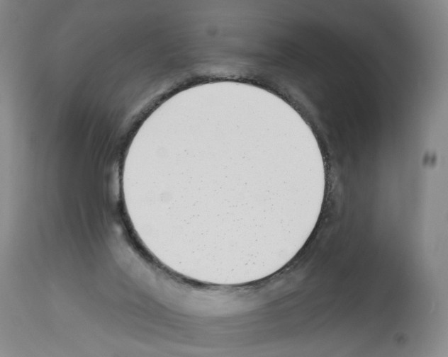 X0000112940020200910051206
