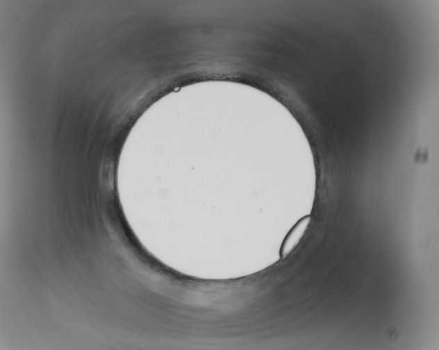 X0000112940021200910051206