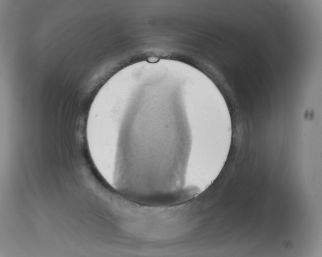 X0000112940023200910051206